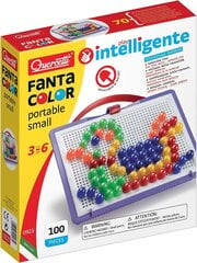 Мозаика Quercetti "Fantacolor" 100D.15, 0923 Li цена и информация | Развивающие игрушки и игры | kaup24.ee