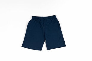 Poiste lühikesed püksid hind ja info | Poiste lühikesed püksid | kaup24.ee