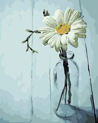 Maalid numbrite järgi "White flower 1" 40 x 50 G KTMK-82255 hind ja info | Maalid numbri järgi | kaup24.ee