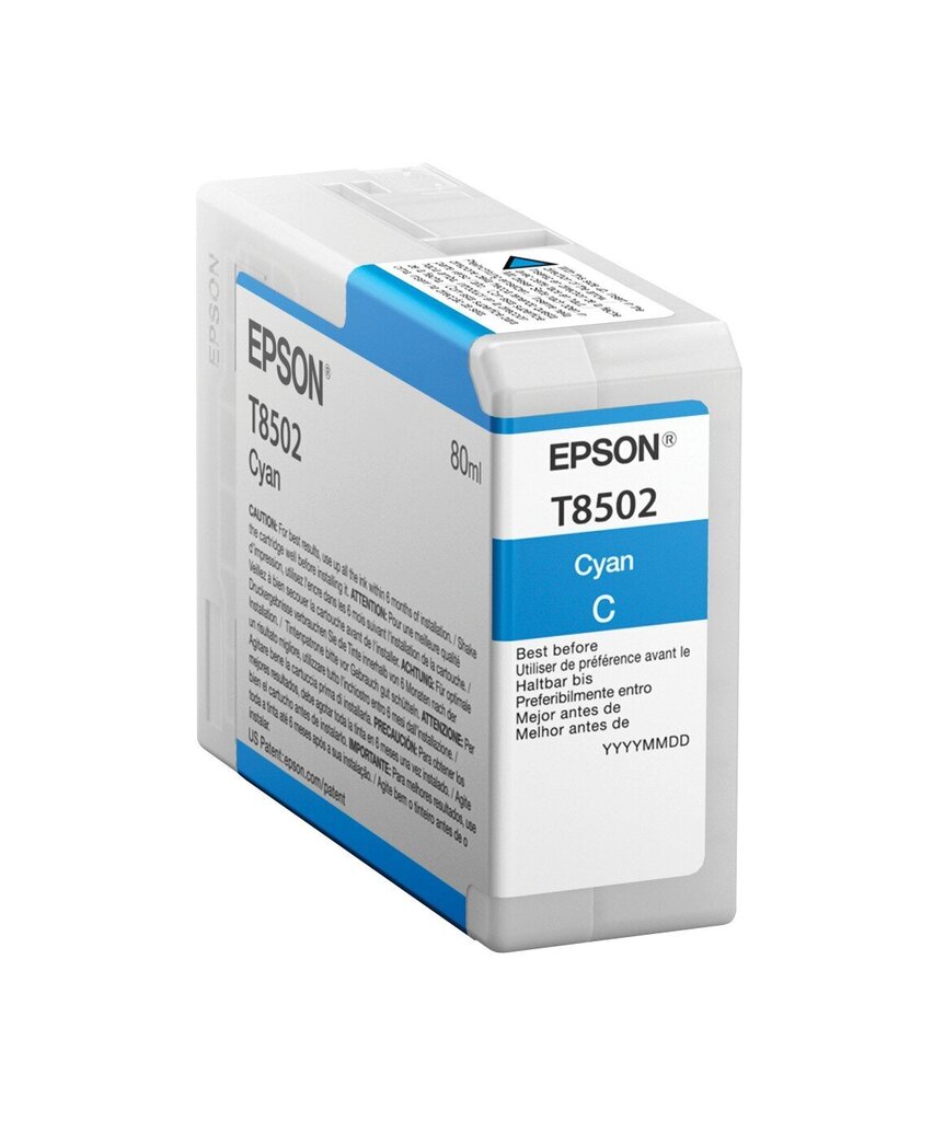 Epson T850200 UltraChrome HD, sinine цена и информация | Tindiprinteri kassetid | kaup24.ee