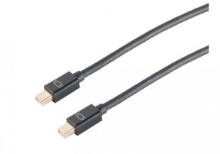 Kaabel Amberin Mini DisplayPort - Mini DisplayPort, 2.0 m цена и информация | Кабели и провода | kaup24.ee