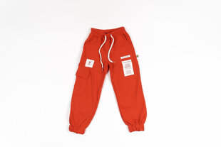 Спортивные штаны для девочек цена и информация | Штаны для девочек | kaup24.ee