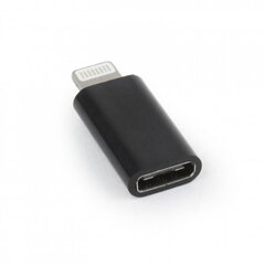 Adapter Amberin USB C female - 8-pin Lightning цена и информация | Адаптеры и USB-hub | kaup24.ee