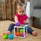 Hariv mänguasi Fat Brain цена и информация | Arendavad mänguasjad | kaup24.ee