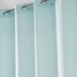 Douceur d'Intérieur õhuke kardin Soane, mündiroheline, 140 x 180 cm hind ja info | Kardinad | kaup24.ee