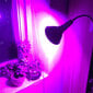 Lamp taimedele punane-sinine 200 LED 20W цена и информация | Nutipotid ja taimelambid | kaup24.ee