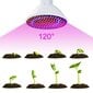 Lamp taimedele punane-sinine 200 LED 20W hind ja info | Nutipotid ja taimelambid | kaup24.ee