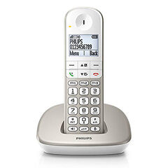 Juhtmevaba Telefon Philips XL4901S/23 1,9" DECT Valge hind ja info | Lauatelefonid | kaup24.ee