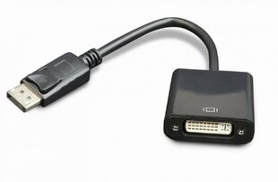 Adapter Amberin DisplayPort - DVI, 0.1 m hind ja info | USB jagajad, adapterid | kaup24.ee