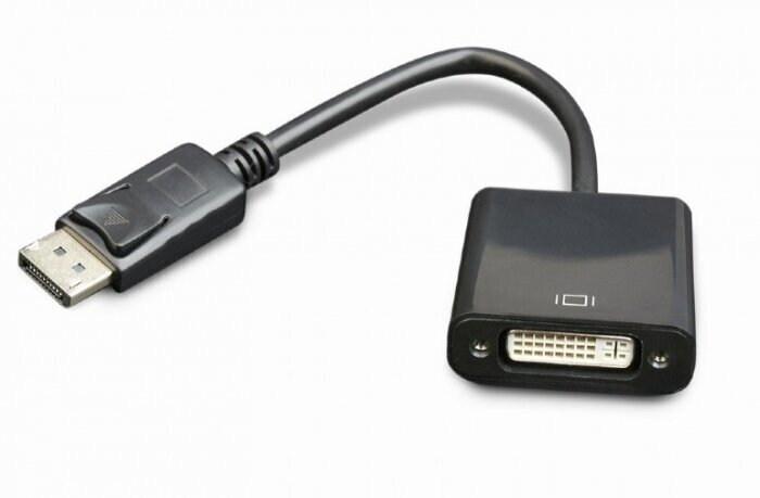 Adapter Amberin DisplayPort - DVI, 0.1 m цена и информация | USB jagajad, adapterid | kaup24.ee