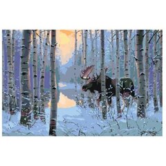 Maalimine numbrite järgi RA033 80 x 120 hind ja info | Maalid numbri järgi | kaup24.ee