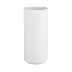 Керамическая ваза, белая, 11X11X25 см цена и информация | Vaasid | kaup24.ee