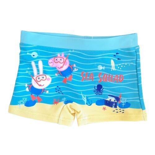 Laste ujumispüksid Peppa Pig hind ja info | Poiste ujumispüksid | kaup24.ee