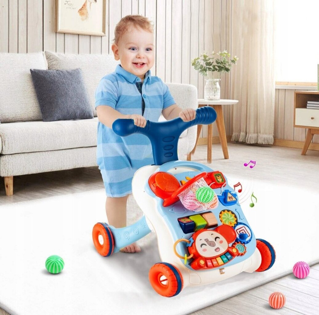 Multifunktsionaalne käimistugi 5 in 1 hind ja info | Imikute mänguasjad | kaup24.ee