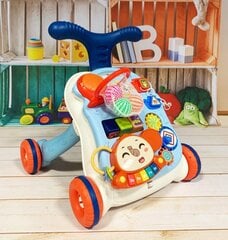 Multifunktsionaalne käimistugi 5 in 1 цена и информация | Игрушки для малышей | kaup24.ee