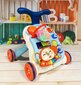 Multifunktsionaalne käimistugi 5 in 1 цена и информация | Imikute mänguasjad | kaup24.ee
