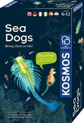 Loominguline komplekt Sea Dogs 8+ aastat hind ja info | Arendavad mänguasjad | kaup24.ee