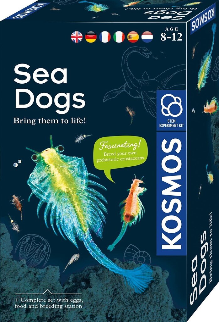 Loominguline komplekt Sea Dogs 8+ aastat hind ja info | Arendavad mänguasjad | kaup24.ee