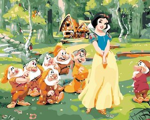 Maalid numbrite järgi "Snow White and 7 Dwarfs" 40 x 50 G KTMK-25940 hind ja info | Maalid numbri järgi | kaup24.ee