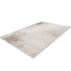 Vaip Heaven Beige 200x290 cm цена и информация | Ковры | kaup24.ee