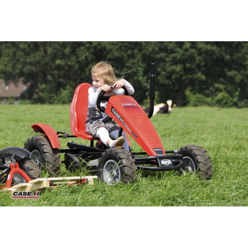 Berg kardipedaal go-kart XL, punane hind ja info | Poiste mänguasjad | kaup24.ee