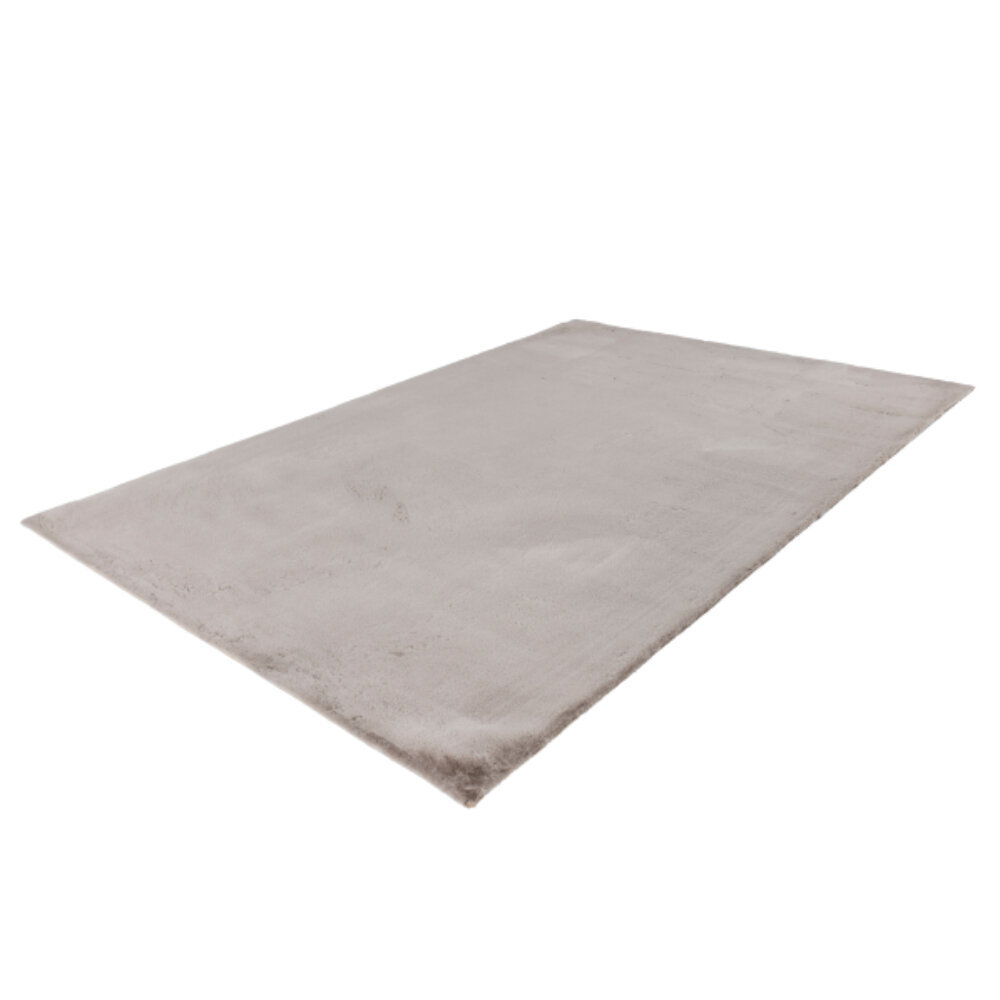 Vaip Heaven Taupe 160x230 cm hind ja info | Vaibad | kaup24.ee