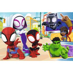 Пазл Puzzle 24 maxi Spiday and friends Spiderman цена и информация | Пазлы | kaup24.ee