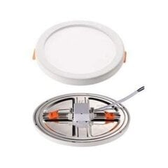 Adjustable downlight 15W DW - hind ja info | Süvistatavad ja LED valgustid | kaup24.ee