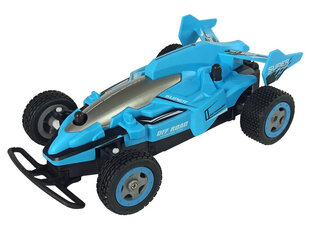 Kaugjuhitav võidusõiduauto hind ja info | Poiste mänguasjad | kaup24.ee