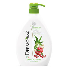 Kремовое мыло Dermomed HAND WASH Aloe&Pomegranate, 1 л (6) цена и информация | Мыло | kaup24.ee