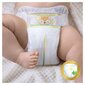 Mähkmed Pampers Premium Care 0 suurus, цена и информация | Mähkmed | kaup24.ee