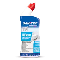 Гель  Sanitec BLU WC GEL для чистки санузлов на основе кислоты, 750 мл (12) цена и информация | Очистители | kaup24.ee