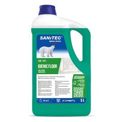 Universaalne põrandapuhastusvahend Sanitec IGIENIC FLOOR Green Apple, 5 l (2) hind ja info | Puhastusvahendid | kaup24.ee