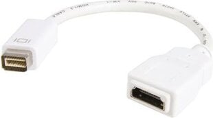 Adapter StarTech MDVIHDMIMF mini DVI to HMDI hind ja info | USB jagajad, adapterid | kaup24.ee