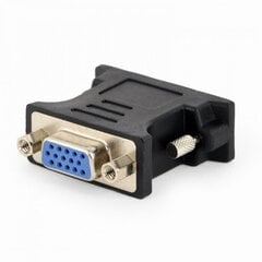 Адаптер AMBERIN DVI - VGA цена и информация | Адаптеры и USB-hub | kaup24.ee