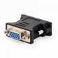 Adapter Amberin DVI - VGA hind ja info | USB jagajad, adapterid | kaup24.ee