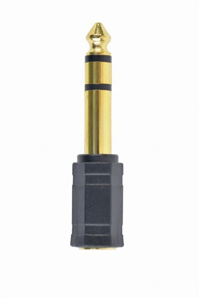 Adapter Amberin 6.35 mm - 3.5 mm цена и информация | USB jagajad, adapterid | kaup24.ee