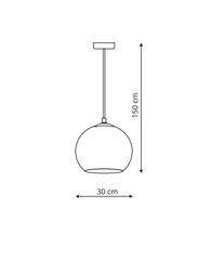 Light Prestige rippvalgusti Rame 1 hind ja info | Rippvalgustid | kaup24.ee