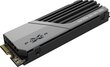 Silicon Power SP02KGBP44XS7005 hind ja info | Sisemised kõvakettad (HDD, SSD, Hybrid) | kaup24.ee