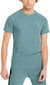 Puma T-Särgid Evostripe Tee Mint 847394 50 847394 50/4XL цена и информация | Meeste T-särgid | kaup24.ee