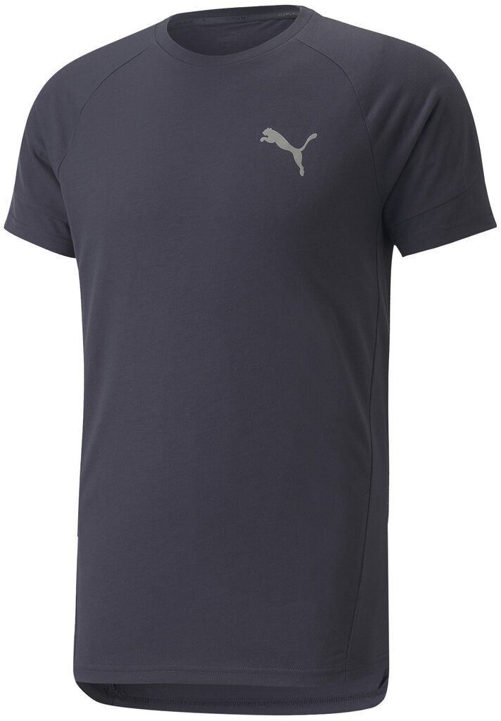 Puma T-Särgid Evostripe Tee Navy 847394 43 847394 43/4XL цена и информация | Meeste T-särgid | kaup24.ee