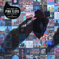 Виниловая пластинка 2LP PINK FLOYD "A Foot in The Door: The Best Of Pink Floyd" (180 g, remastered) LP  цена и информация | Виниловые пластинки, CD, DVD | kaup24.ee