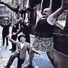 Виниловая пластинка LP THE DOORS Strange Days (180g) LP  цена и информация | Виниловые пластинки, CD, DVD | kaup24.ee