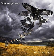 Диск CD DAVID GILMOUR Rattle That Lock CD цена и информация | Виниловые пластинки, CD, DVD | kaup24.ee