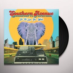Виниловая пластинка LP SOUTHERN AVENUE Be The Love You Want LP  цена и информация | Виниловые пластинки, CD, DVD | kaup24.ee