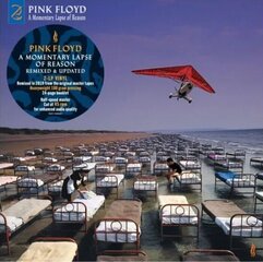 CD Pink Floyd A Momentary Lapse Of Reason (2019 Remix, 180g) hind ja info | Vinüülplaadid, CD, DVD | kaup24.ee