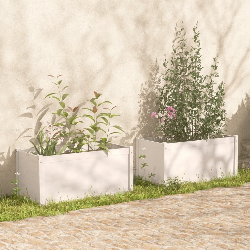 vidaXL aia taimekast, 2 tk, 100 x 50 x 50 cm, valge, toekas männipuit цена и информация | Istutus- ja turbapotid | kaup24.ee