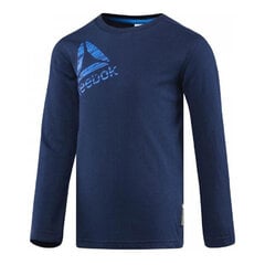 Poiste pikkade varrukatega T-särk Reebok B ES LS TEE BQ5132, sinine цена и информация | Рубашки для мальчиков | kaup24.ee