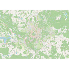 Фотообои подробная карта Вильнюса цена и информация | Фотообои | kaup24.ee