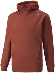 Puma Džemprid Rad/Cal Half-Zip Brown 847436 23 847436 23/M hind ja info | Meeste pusad | kaup24.ee